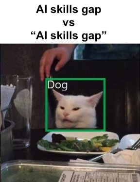 meme about AI skills gap present in the market