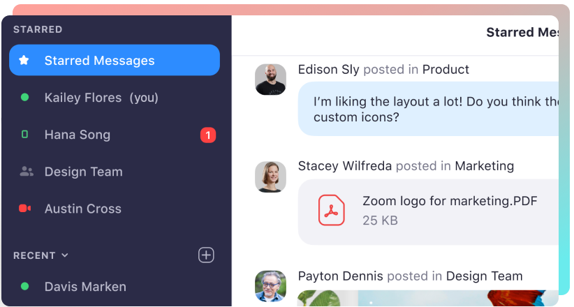 zoom chats