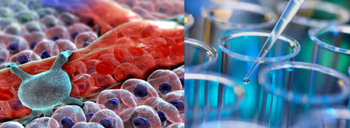 the future of food
