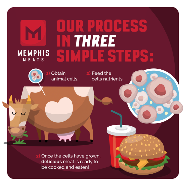 lab grown meat