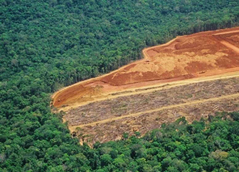 food environmental impact