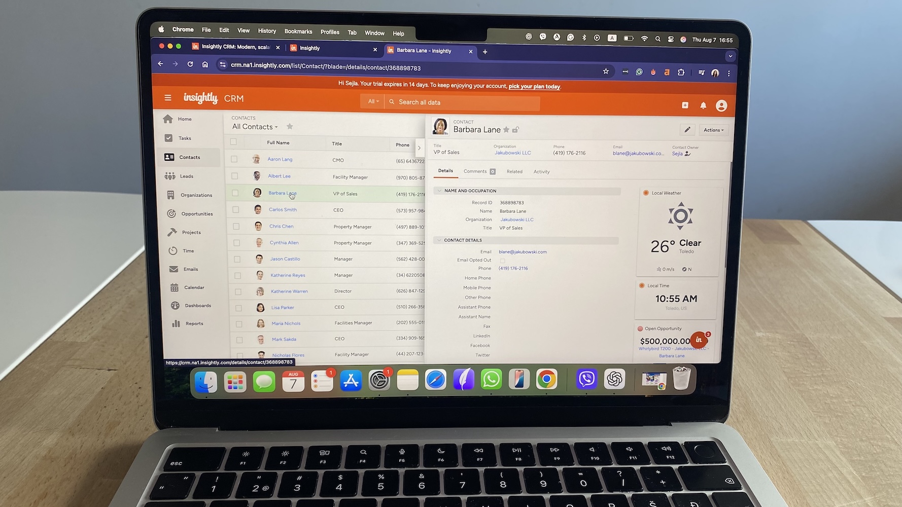 Insightly CRM dashboard showing contact profile with details, title, email, phone, weather widget, and open opportunity info.