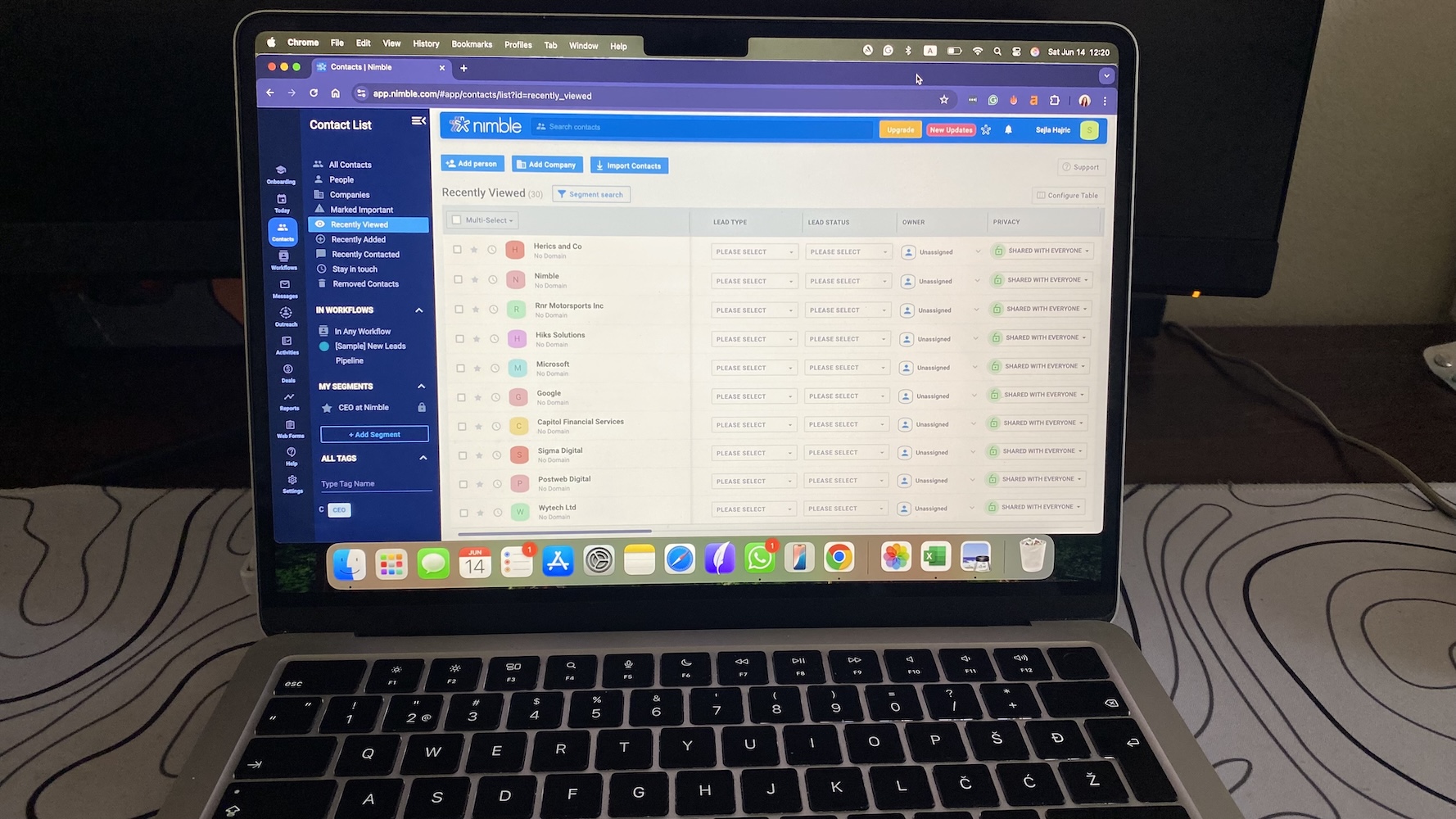 Nimble contact list sorted by recently viewed, showing lead types, tags, and sharing settings.